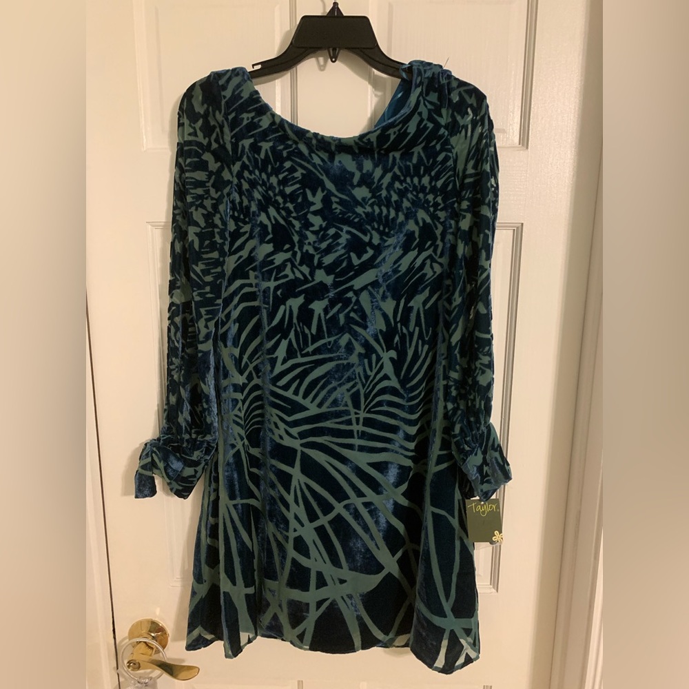 Size 2 Dark green velvet dress